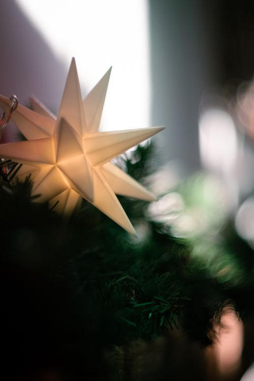 Free Close-up of a glowing Christmas star ornament with lush festive greenery in soft focus. Stock Photo