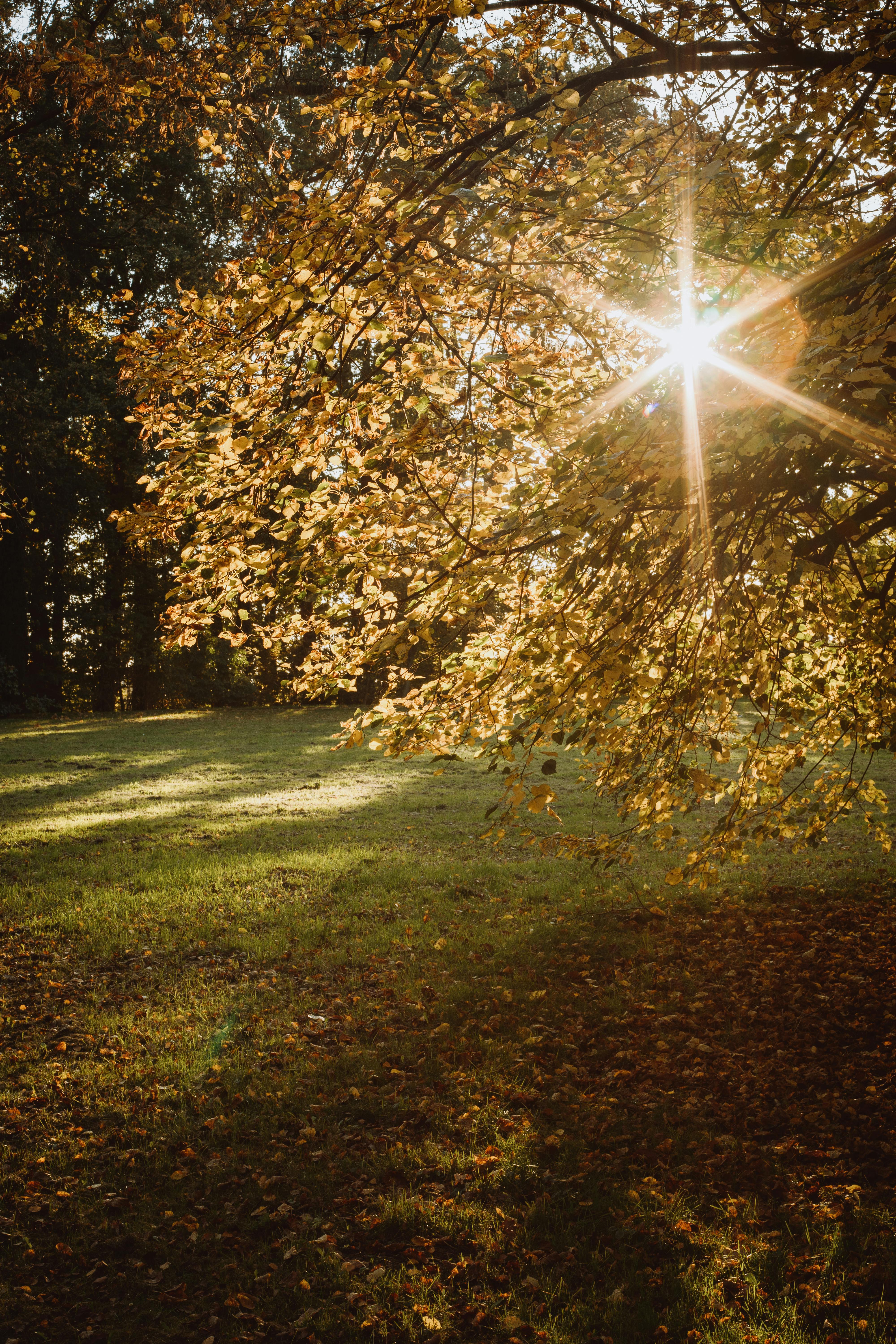 CS 402 Principles Of Microeconomics By Karl Case And Ray Fair