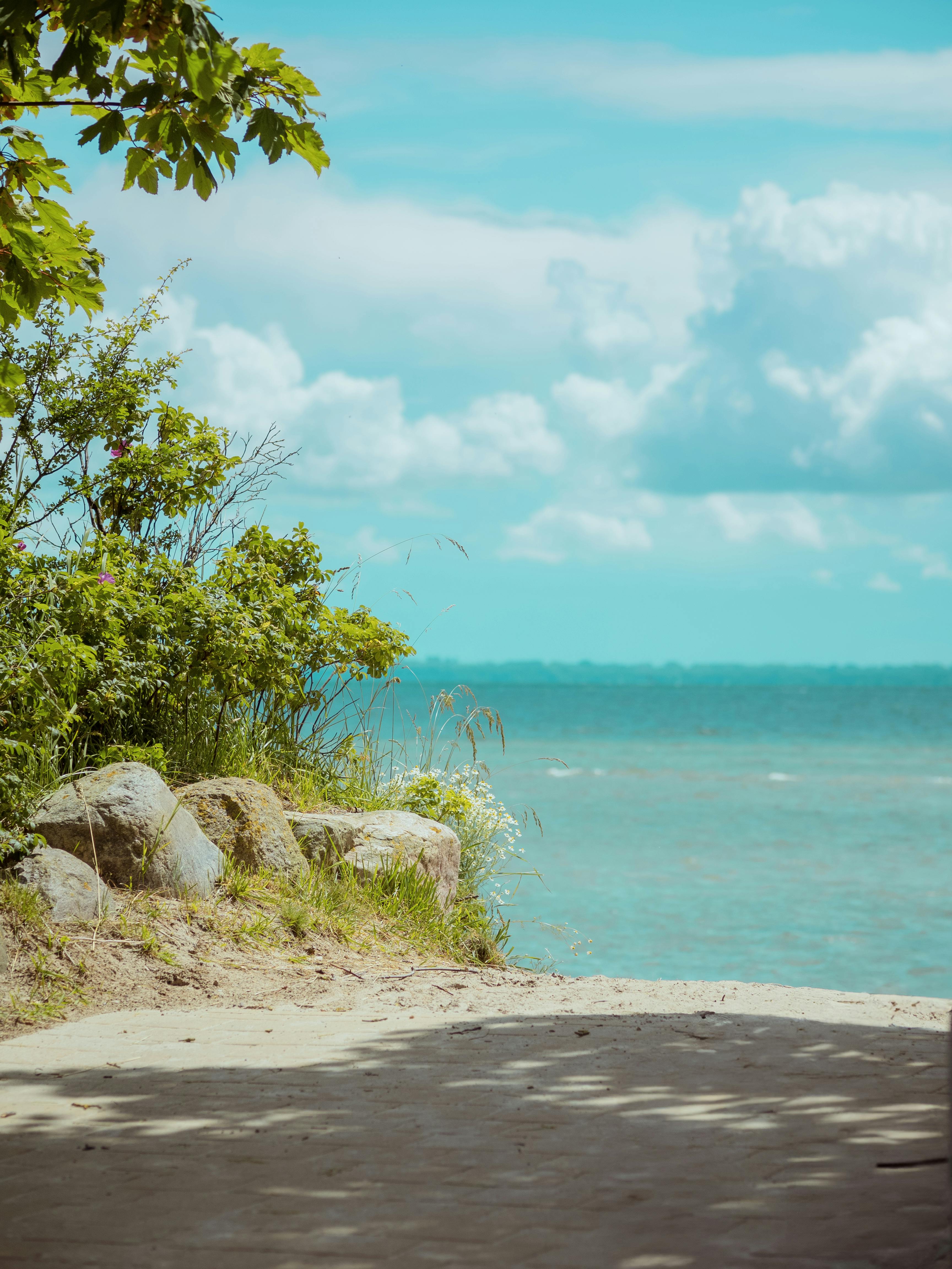 Summer Beach Scene in Neustadt, Germany · Free Stock Photo, image size:3456x4608