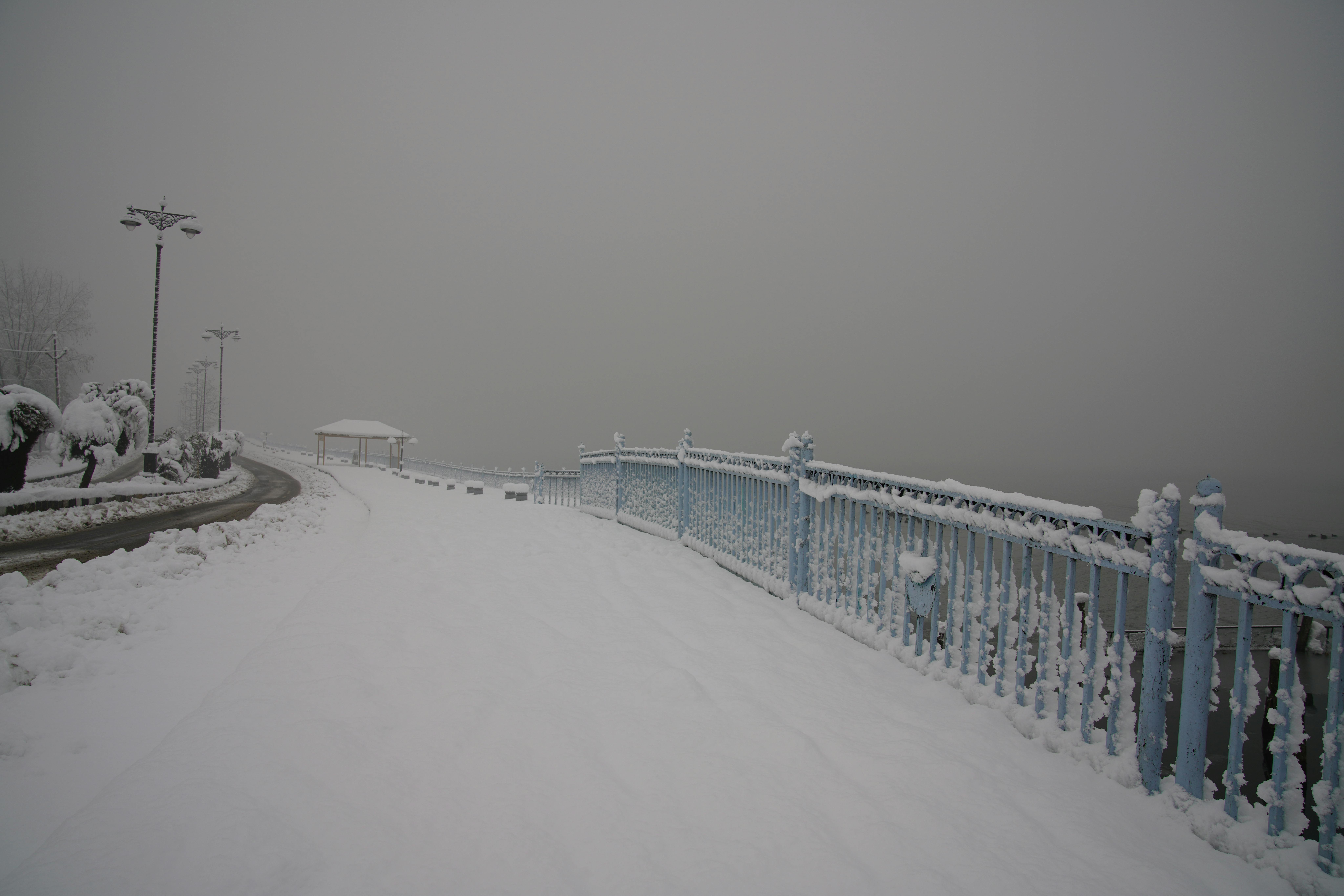 REC Alpha Pure R: Unbiased Review & Real-World Results - Secondary Image