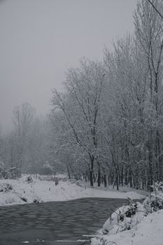A serene winter scene in Jammu and Kashmir featuring snowy trees and a frozen river.