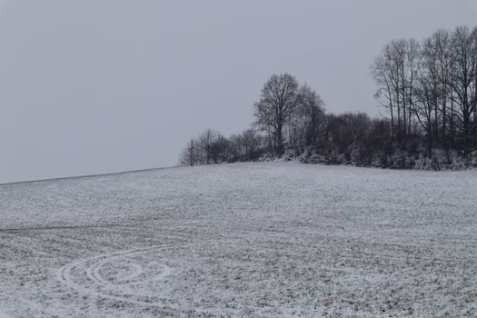Serene snowy field with bare trees and overcast sky in winter.