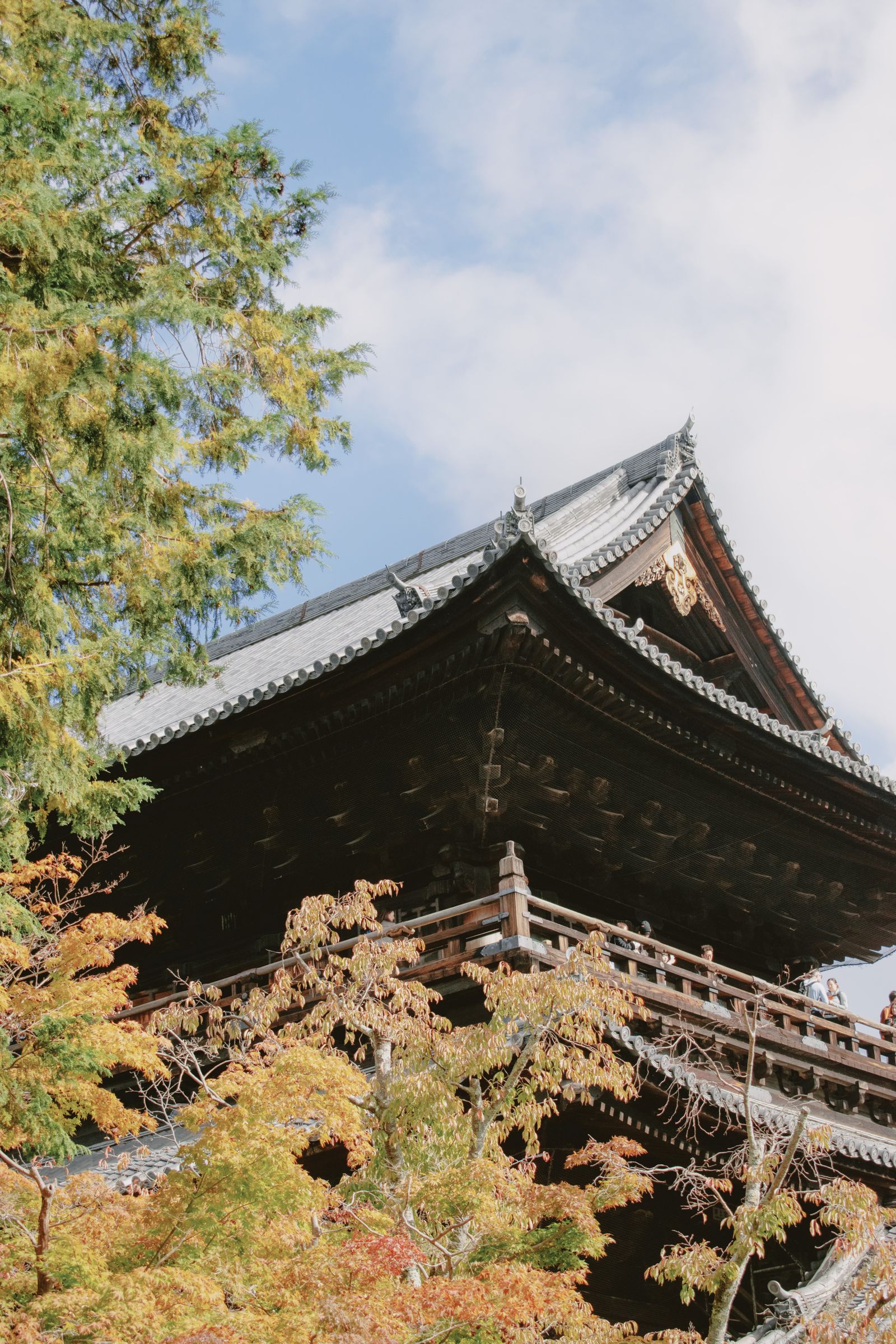Traditional ryokan with mountain views