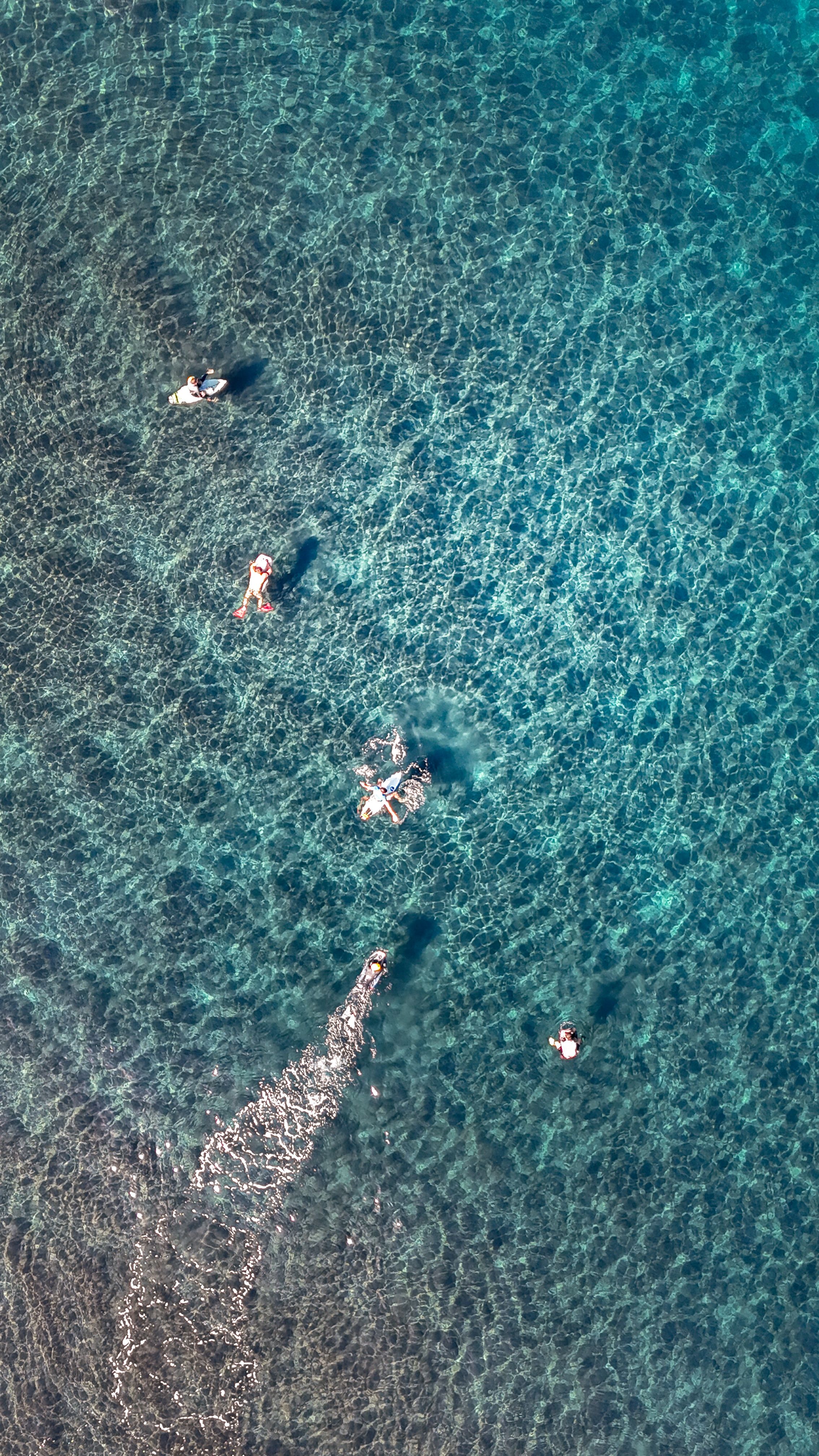 免費 充滿活力的航空照片捕捉了加那利群島水晶般清澈的海水中的游泳者。 圖庫相片