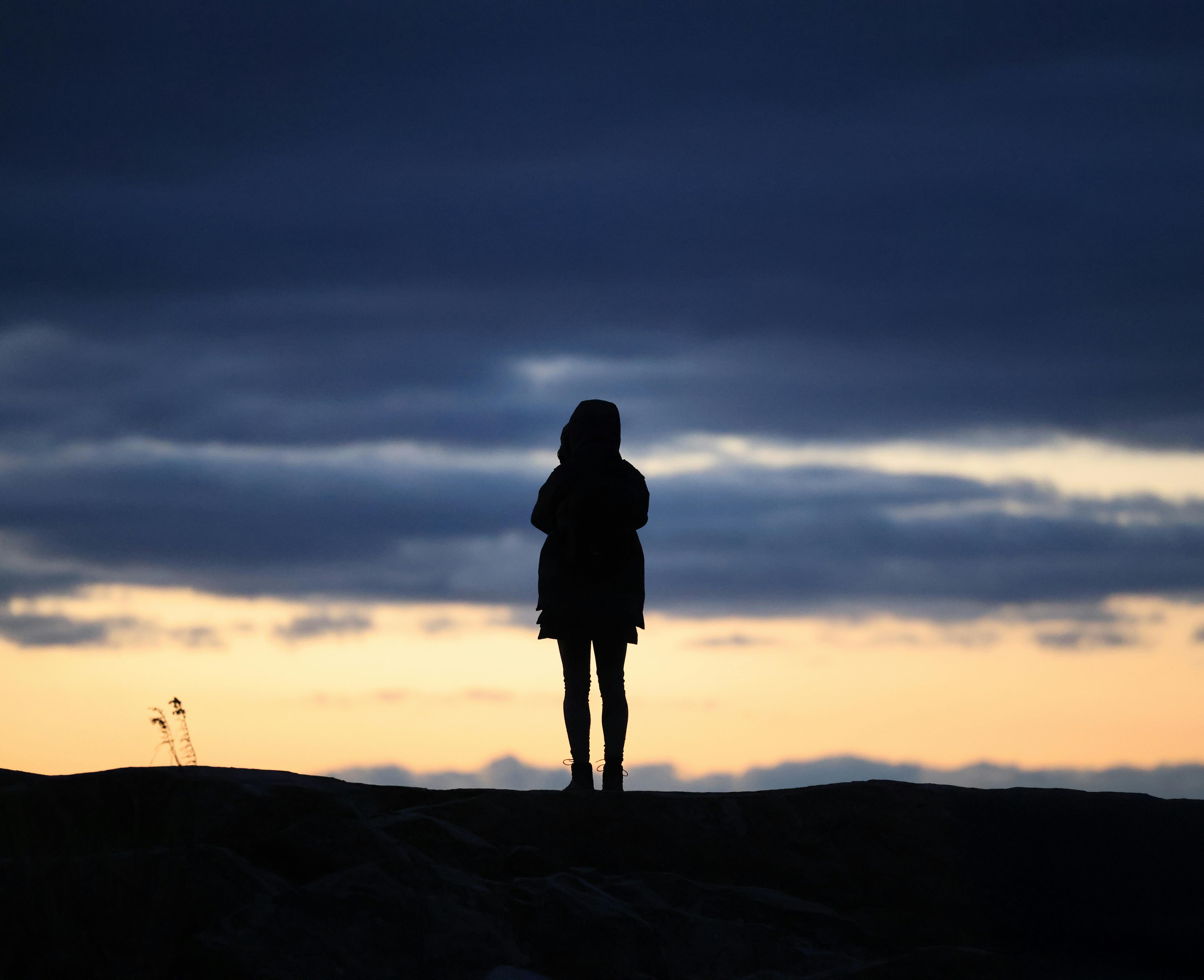 無料 孤独なシルエットが、冬のスタンフォードの日の出の静けさを捉えています。 写真素材