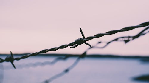 Free Gray Barb Wire Stock Photo