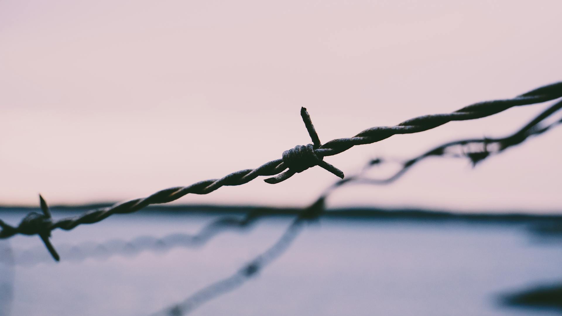 Gray Barb Wire