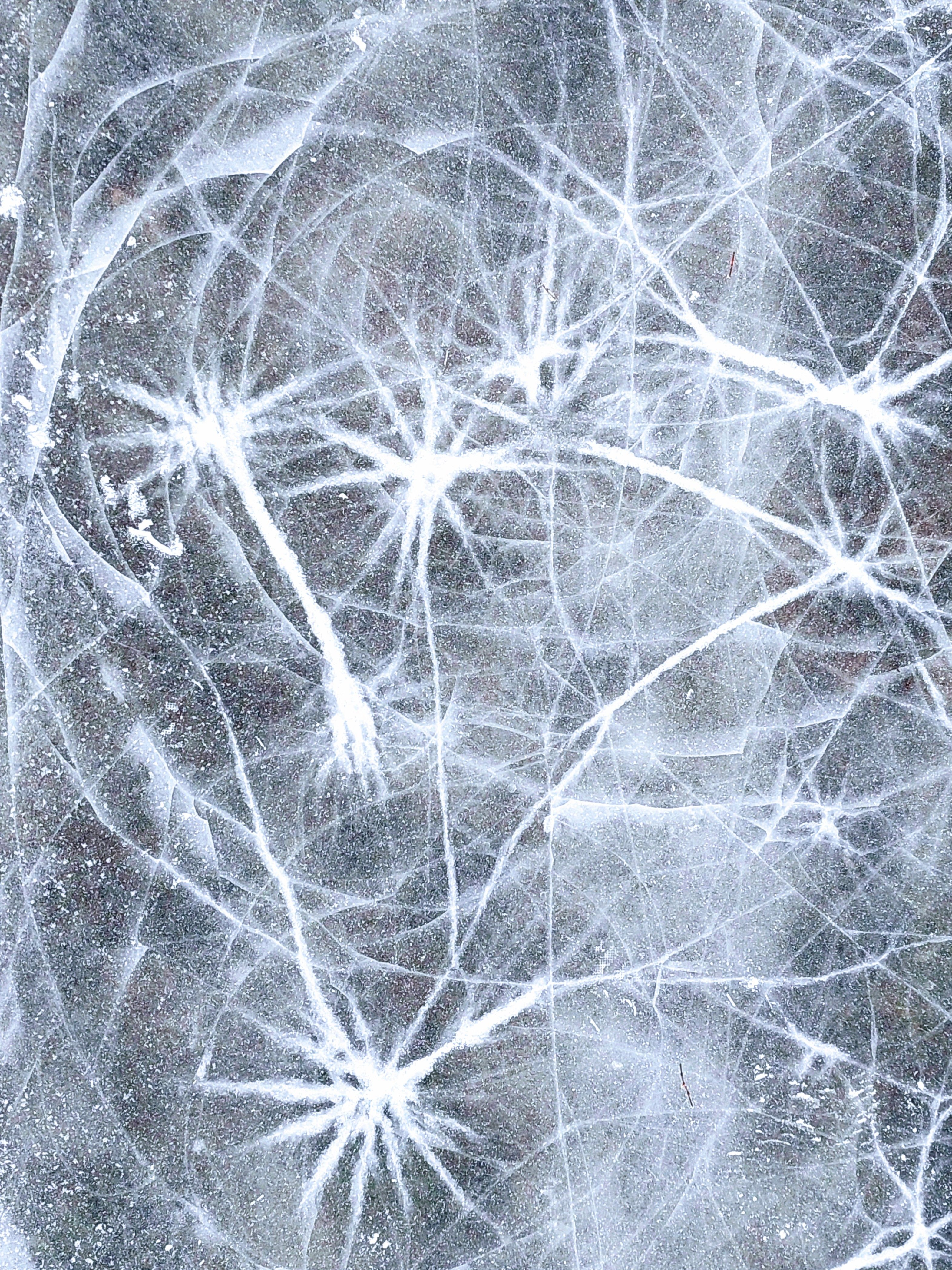 Intricate Frost Patterns on Winter Lake Ice · Free Stock Photo