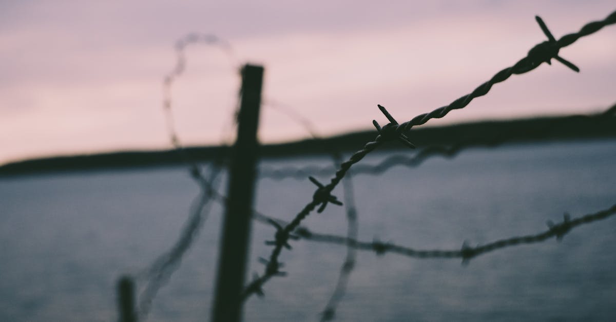 陳朝平專欄:125兆國防預算為何不投入兩岸和平工程?