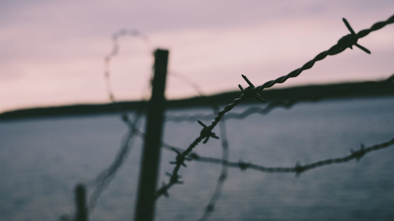 Photography of Barbwire