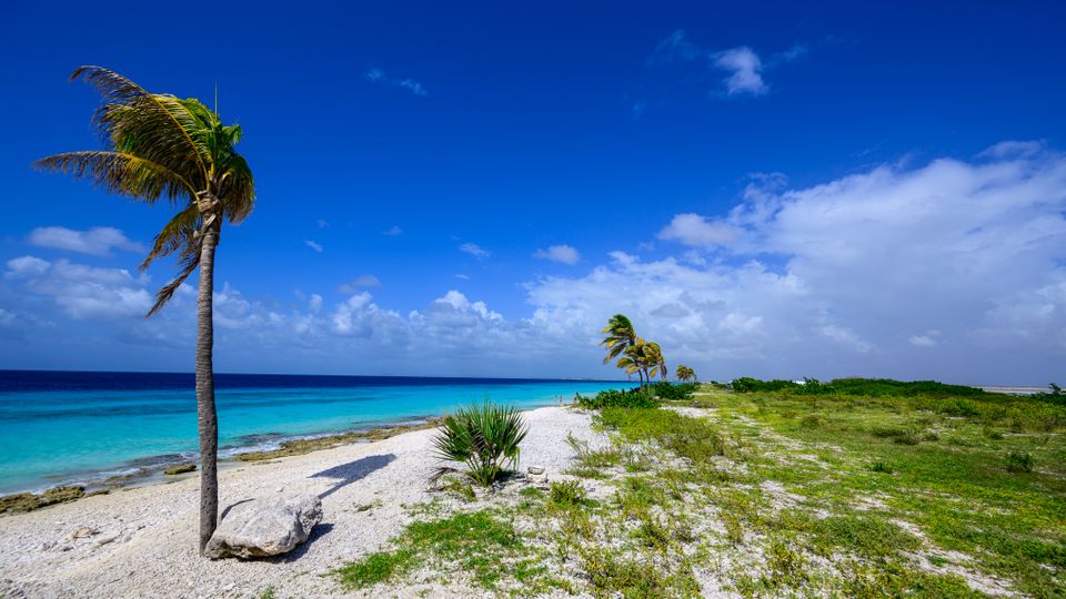in Bonaire