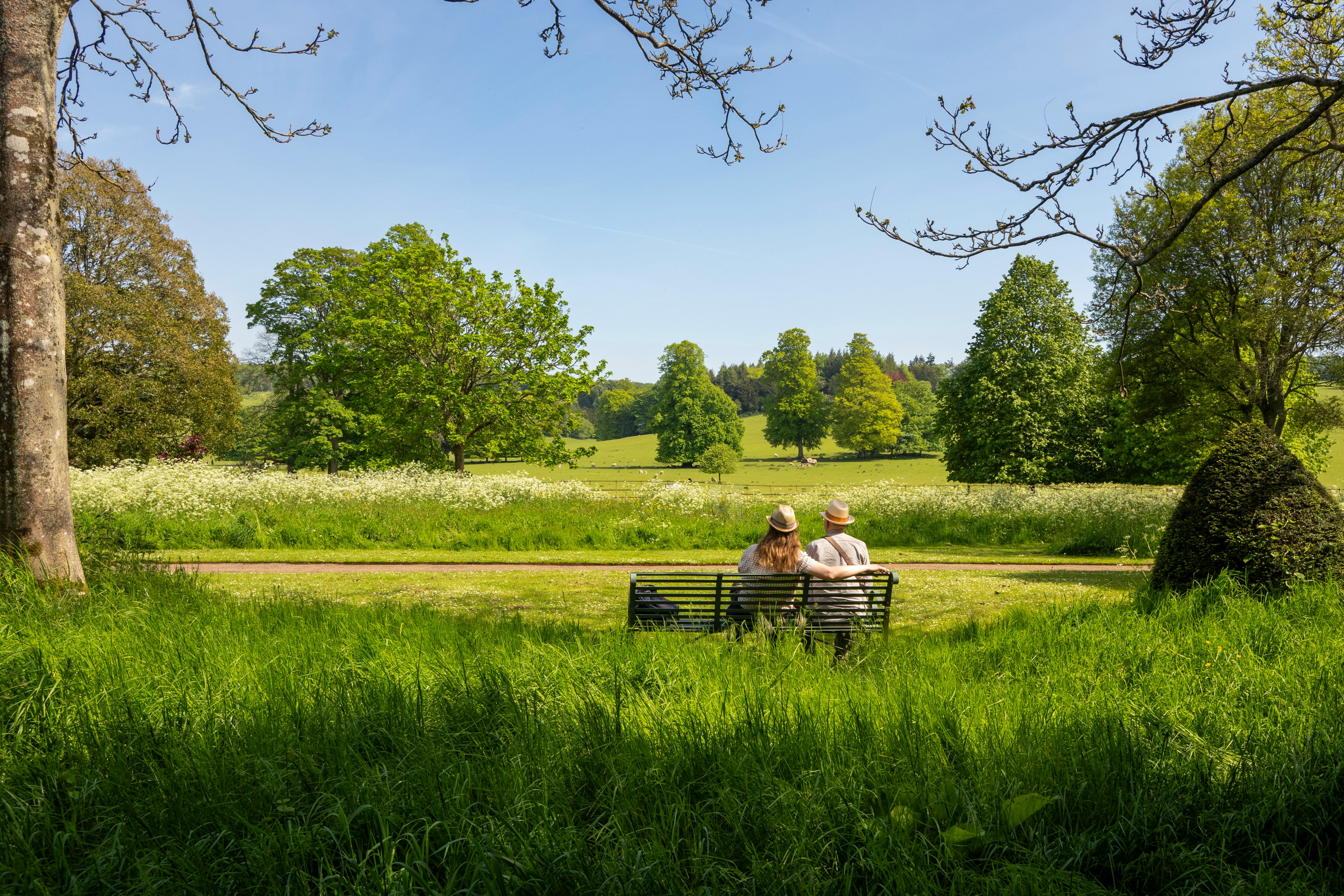 Una escena tranquila de una pareja relajándose en un banco, rodeada de exuberante vegetación en un entorno rural