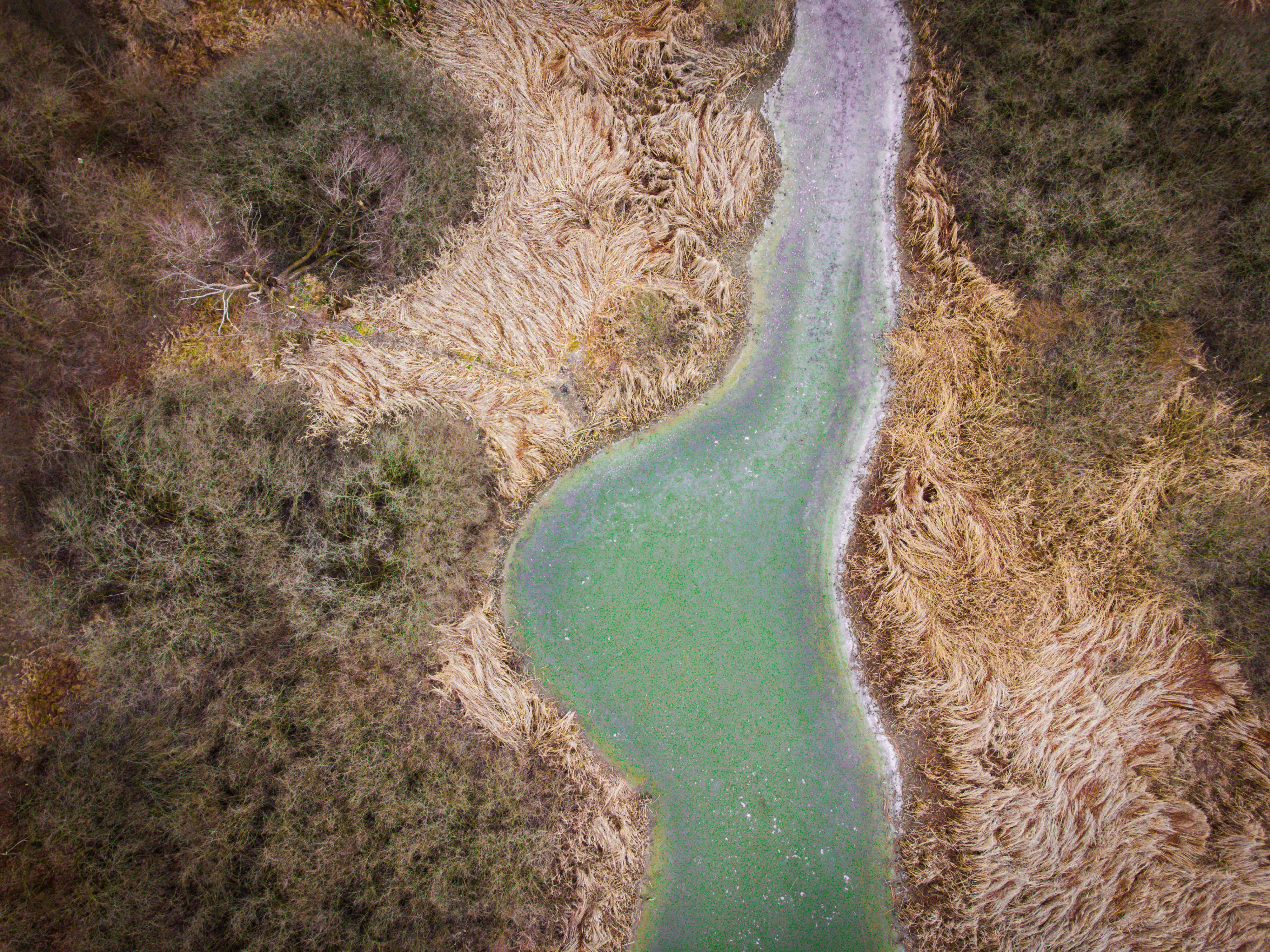 New Pajaro River Watershed Plan targets climate resilience across four counties. — Photo by Nikola Tomašić on Pexels