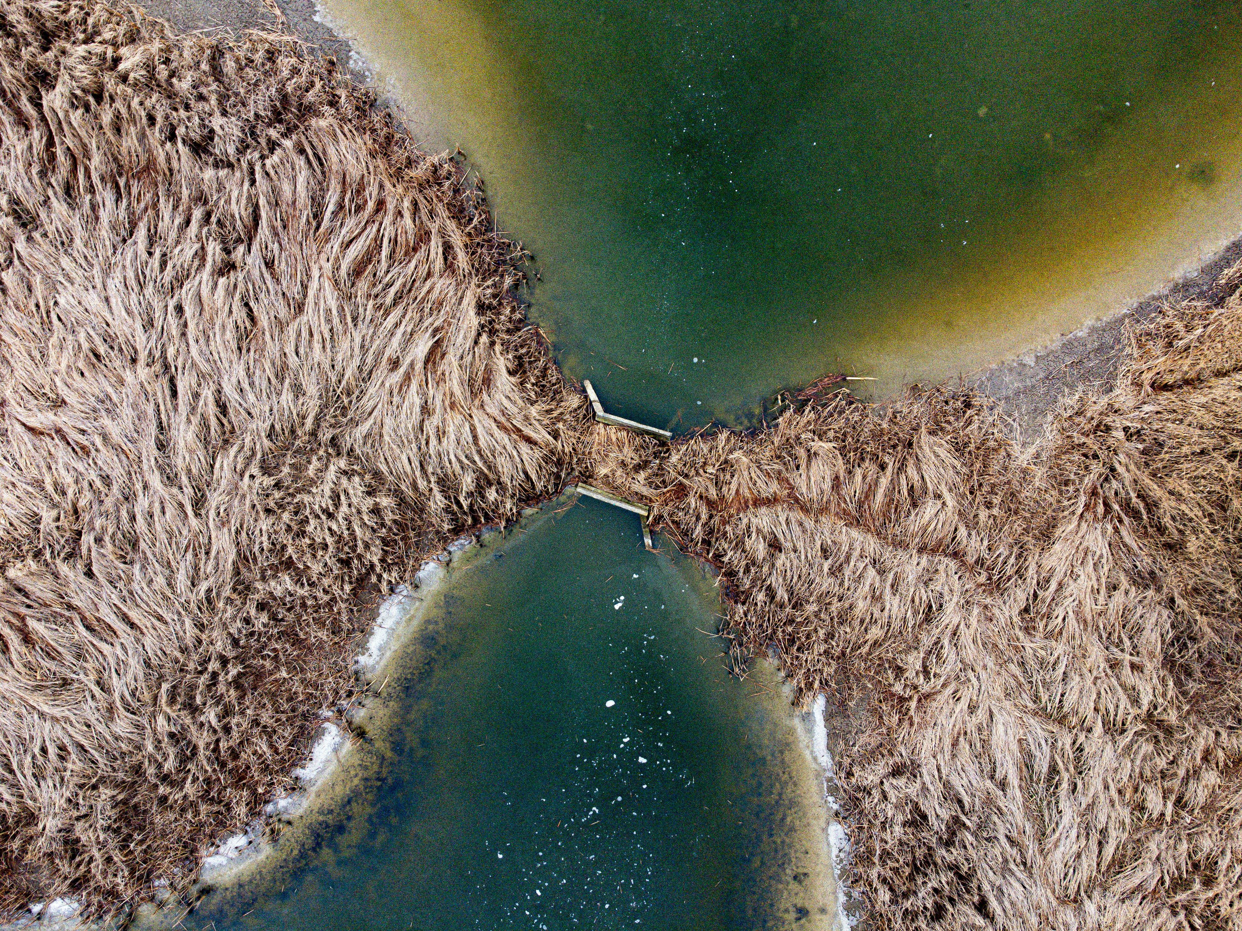 streaming discovery channel — Photo by Nikola Tomašić on Pexels