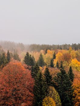 Nebelverhangenes Herbstlandschaft in Deutschland – Natur Hintergrundbild