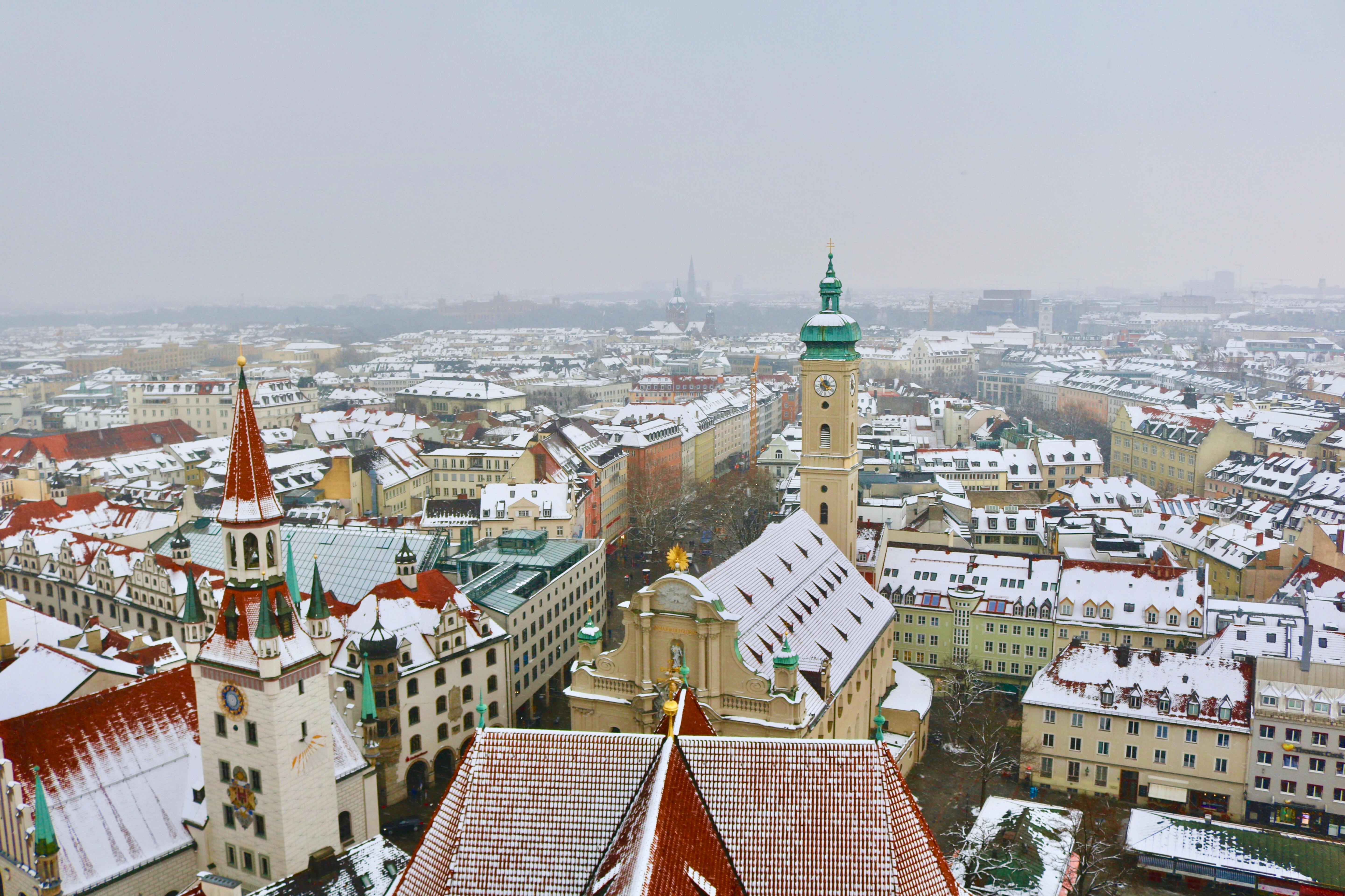 immigration lawyer munich — Photo by Bruna Santos on Pexels