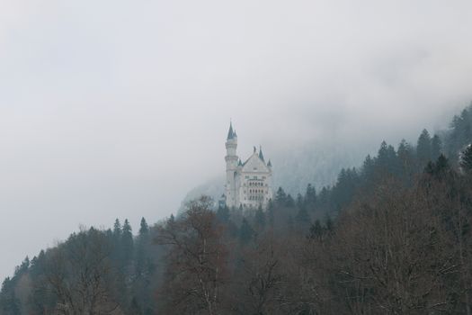 Neuschwanstein Castle before the coaches — Munich