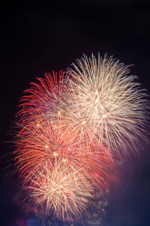Free Colorful fireworks illuminating the night sky, perfect for celebrations and festive events. Stock Photo