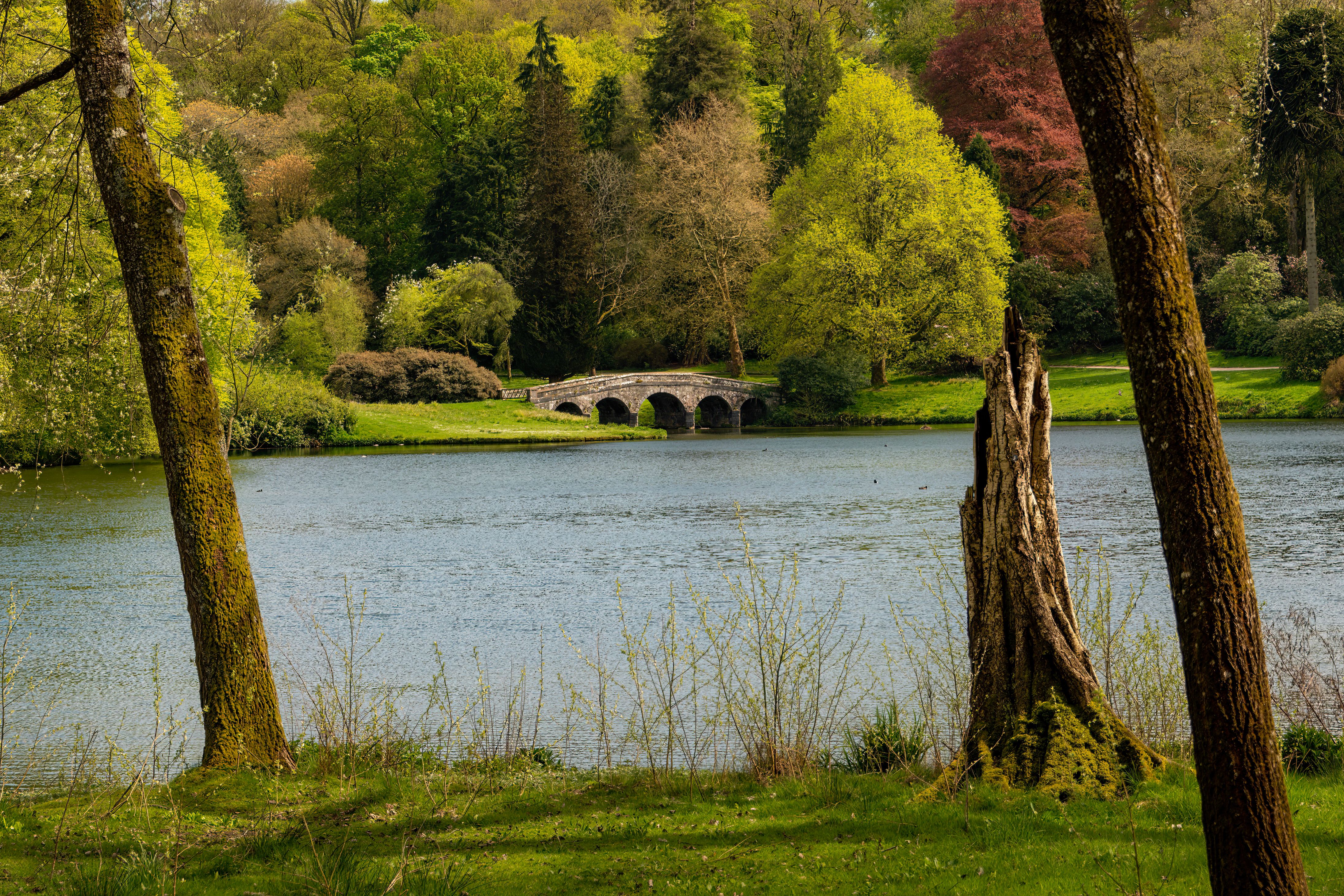 Stourhead lake, Wiltshire — English countryside fishery
