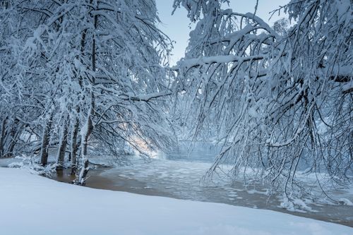 Free A tranquil winter scene featuring snow-laden trees by a frozen river. Stock Photo