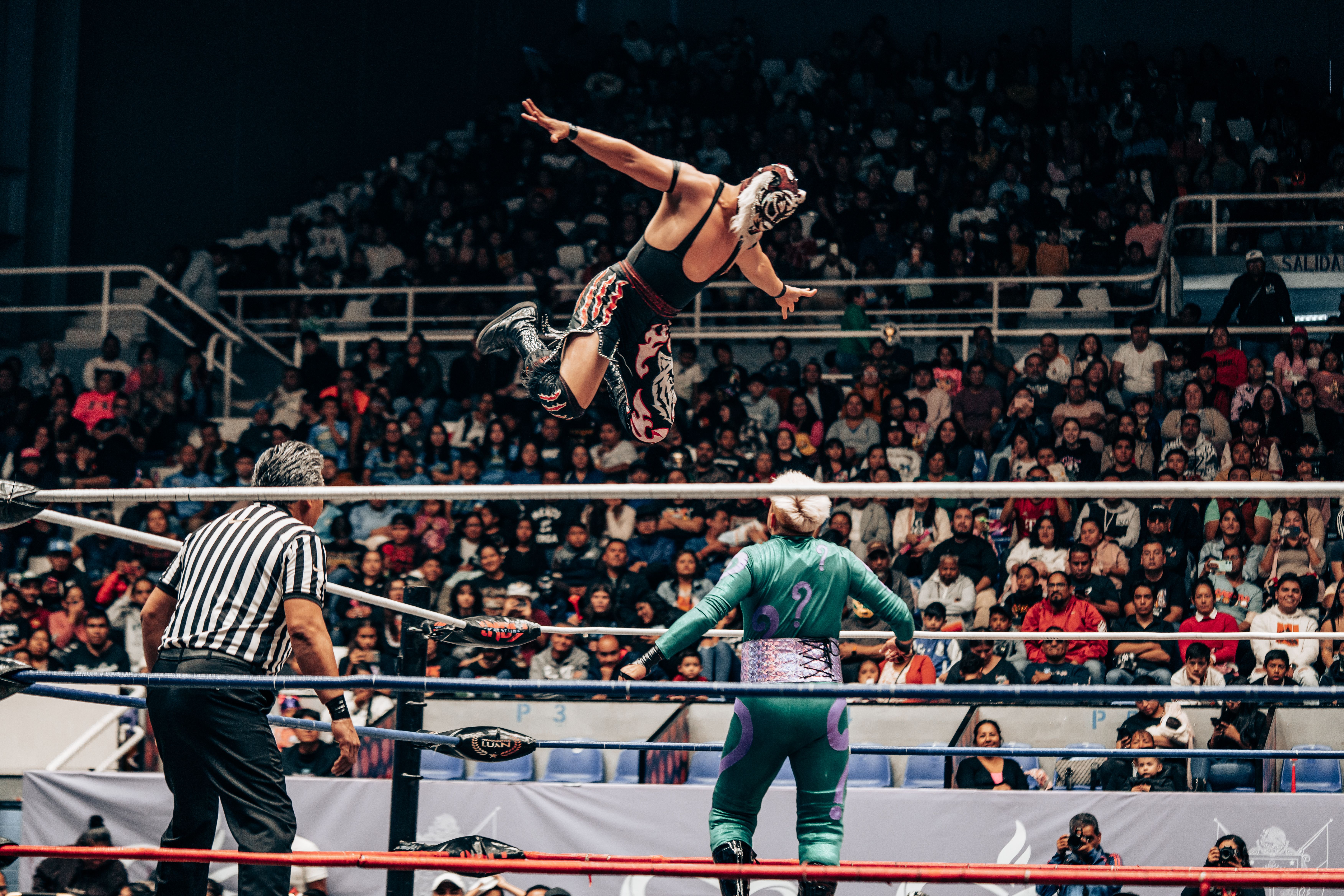 Pro Wrestling Script Wrestling Matches and Odds: When the Script Meets the Spread | Gerweck.net