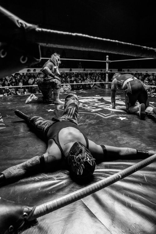 Free Exciting lucha libre wrestling match in Santiago de Querétaro, featuring masked wrestlers in a vibrant arena. Stock Photo