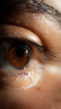 Detailed macro photo capturing the intricate patterns of a brown human eye.