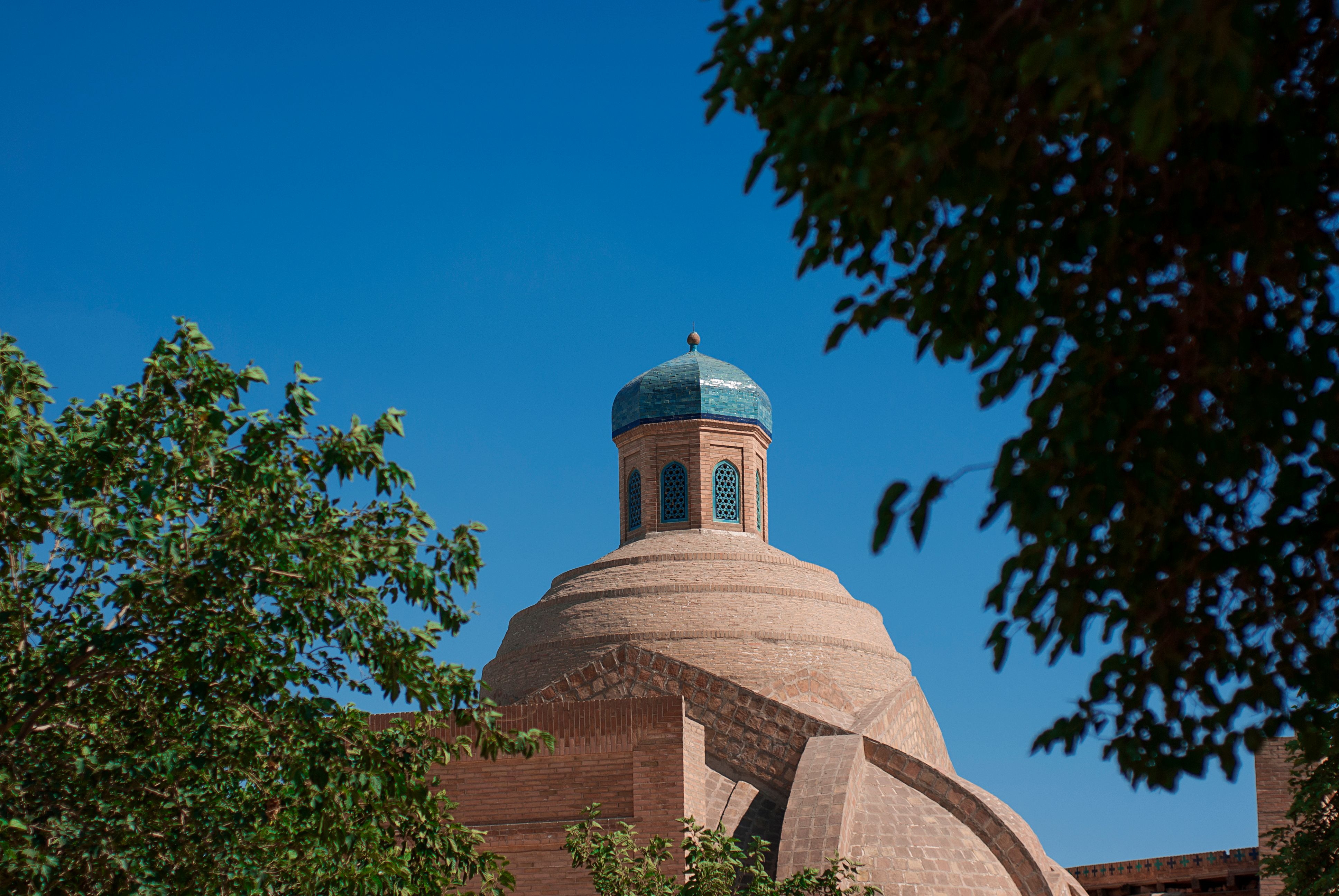 Close-up of a traditional Uzbek dome framed by trees under a clear sky.