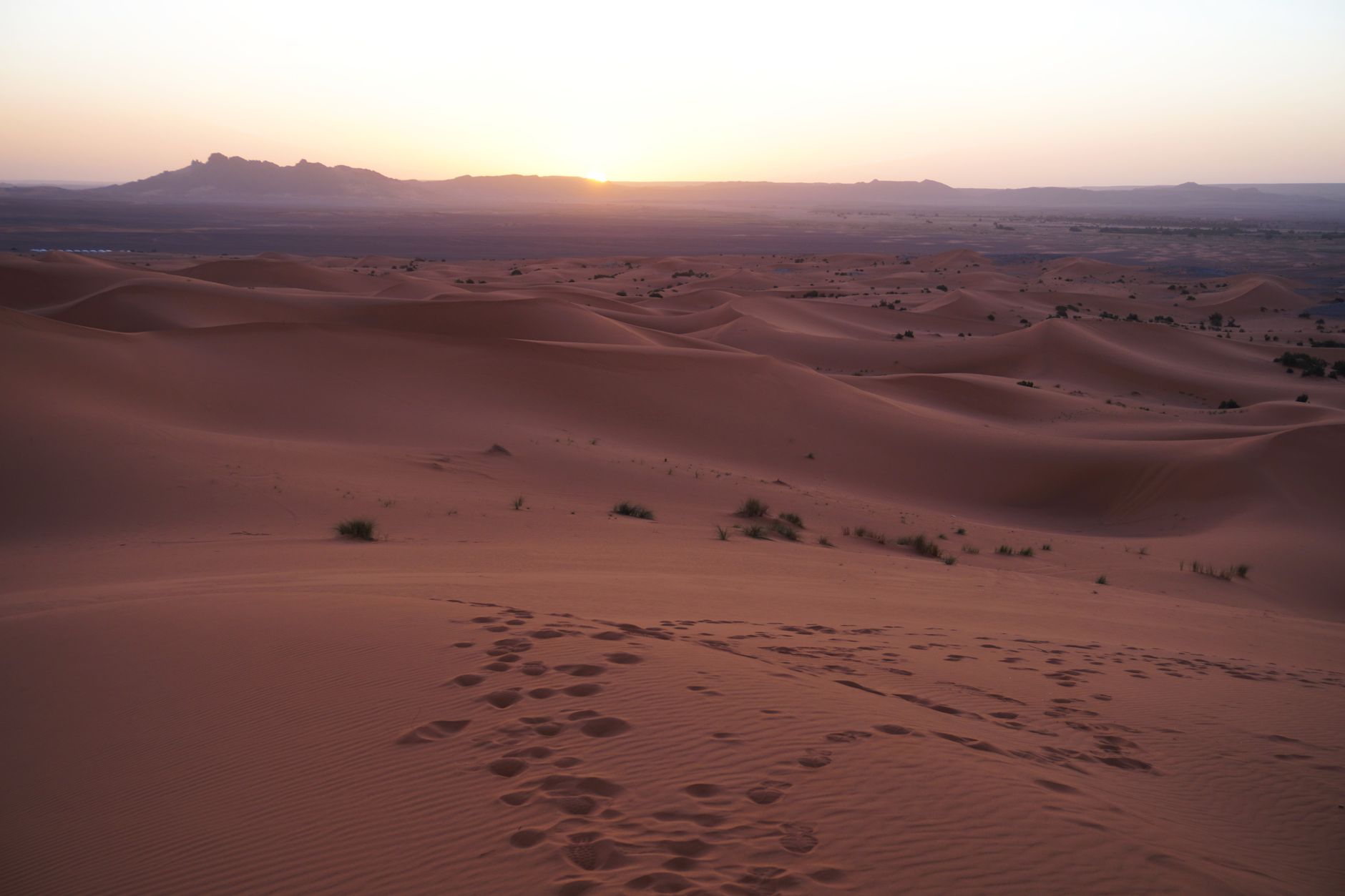 Beautiful sunrise over the sand dunes of Merzouga, Morocco, with footprints in the foreground.
