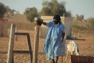 A Mauritanian shepherd in traditional attire feeds sheep in the desert landscape.