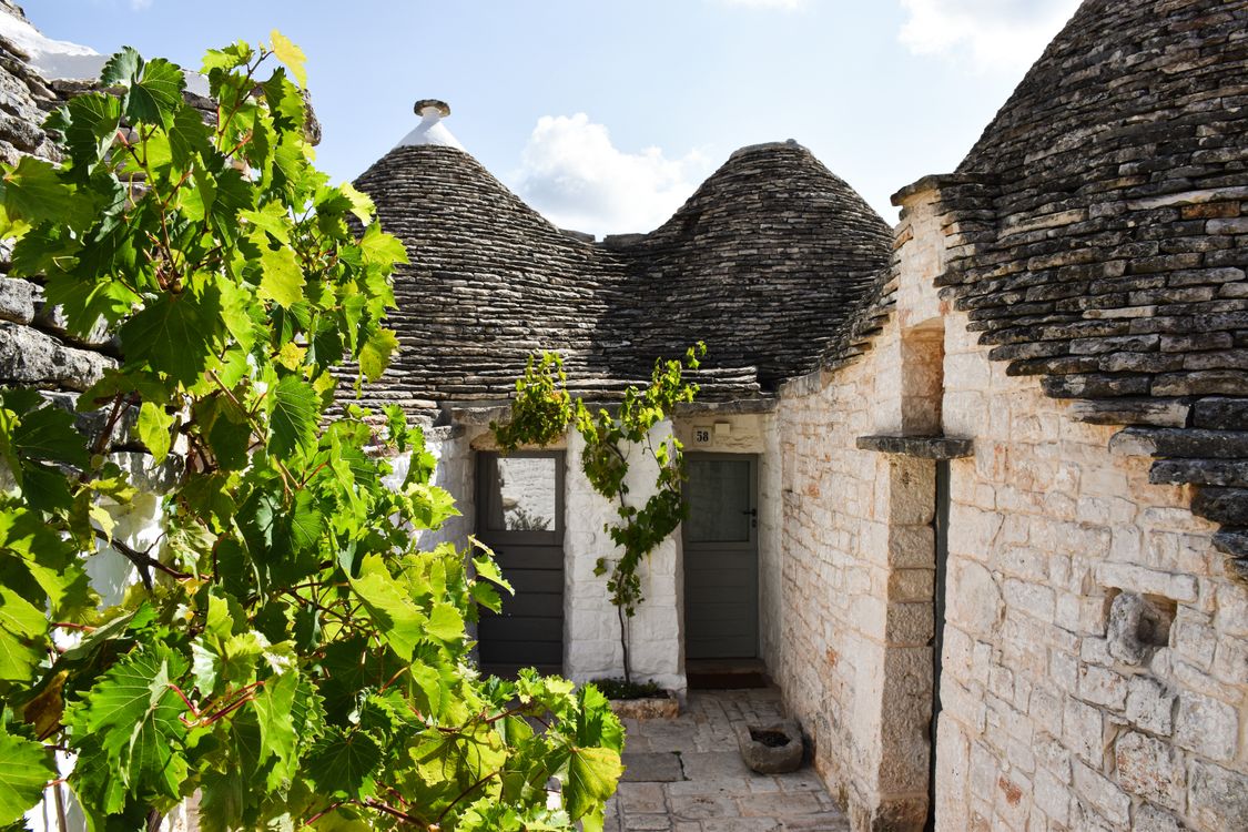 Apulia Home Trulli Houses in Apulia, Italy with Lush Greenery · Free Stock Photo