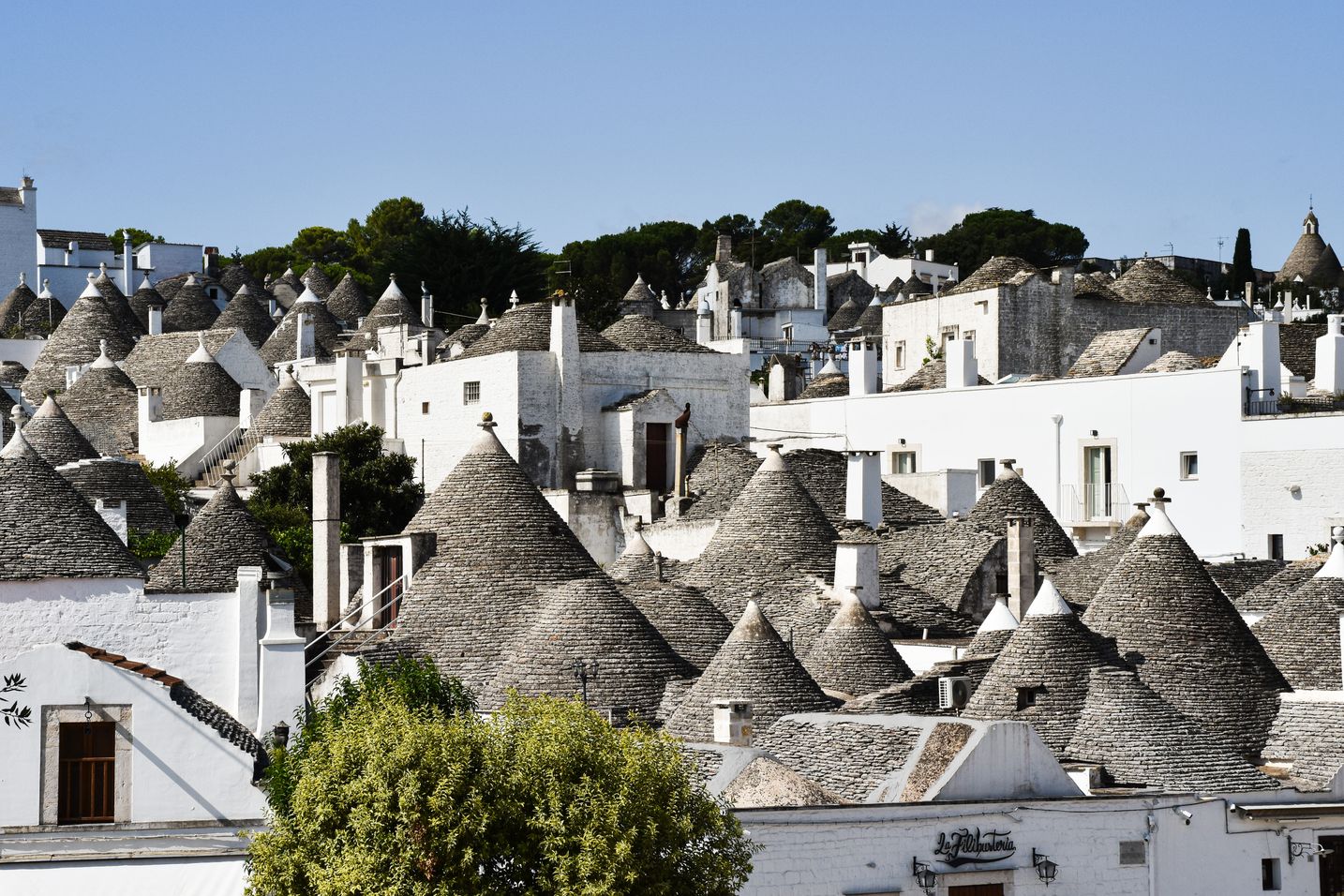 Understanding Conical Roofs: Design, Benefits, and Function