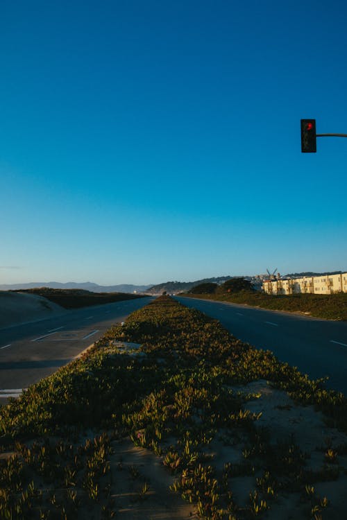 Plants Growing On Sand Between Roads