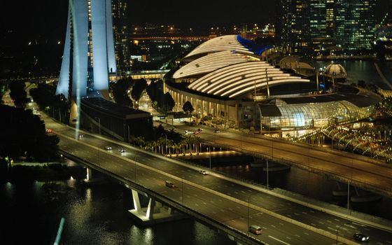 Night Safari small-group tour — Singapore