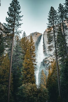 Captivating view of a towering waterfall in Yosemite National Park surrounded by lush green forest.