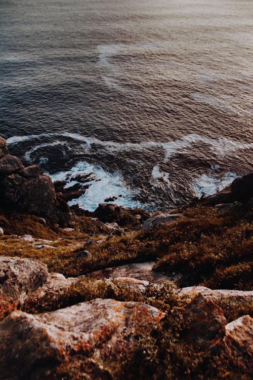 免费 白天多岩石的海岸的照片 素材图片