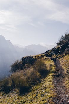 清晨，一条雾气弥漫的小路蜿蜒穿过山区