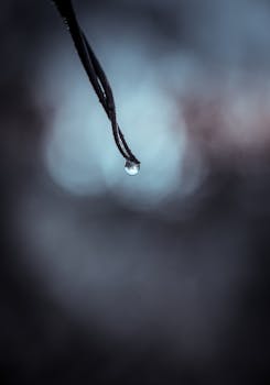 Close-up of a single dew drop hanging from a leaf against a blurred background.