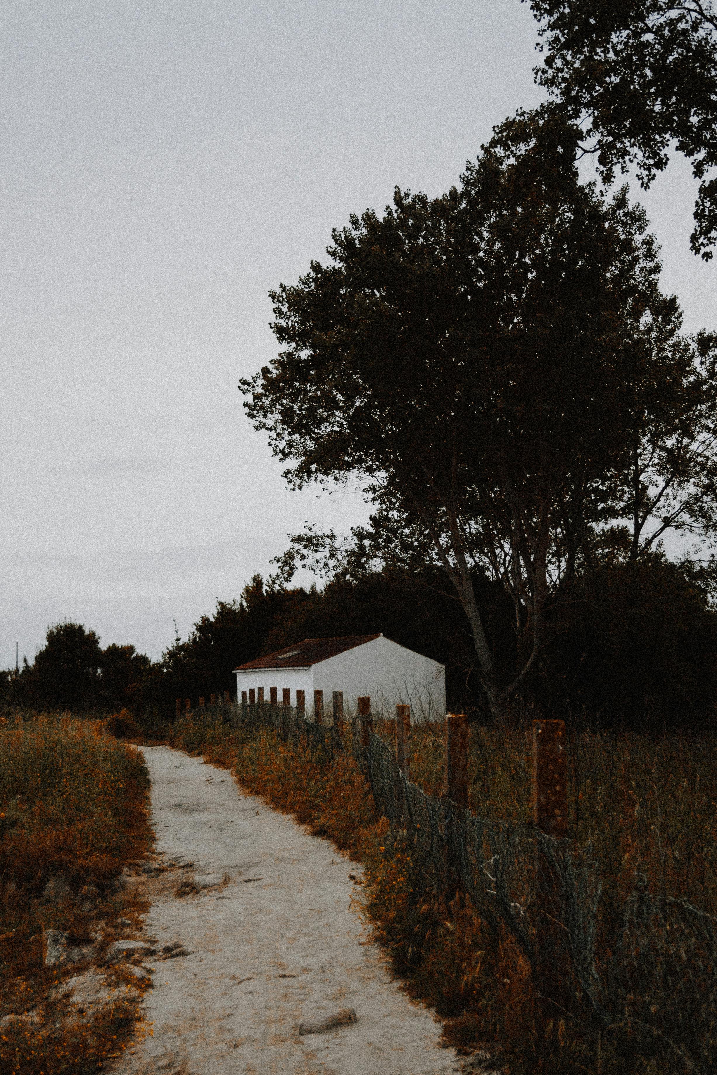 宁静的乡村里，蜿蜒的道路旁，白色的房屋与黄昏中的树木构成了一幅宁静的画面