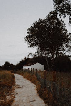 宁静的乡村里，蜿蜒的道路旁，白色的房屋与黄昏中的树木构成了一幅宁静的画面