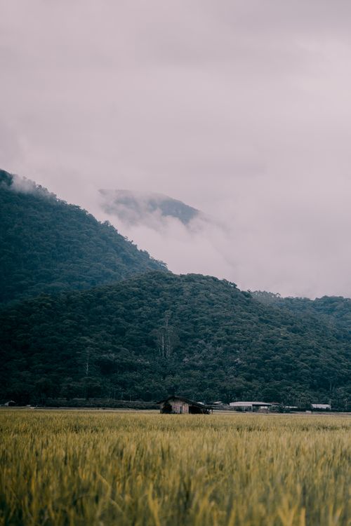 Free A serene view of mist-covered mountains and a lone hut in a lush green field under overcast skies. Stock Photo