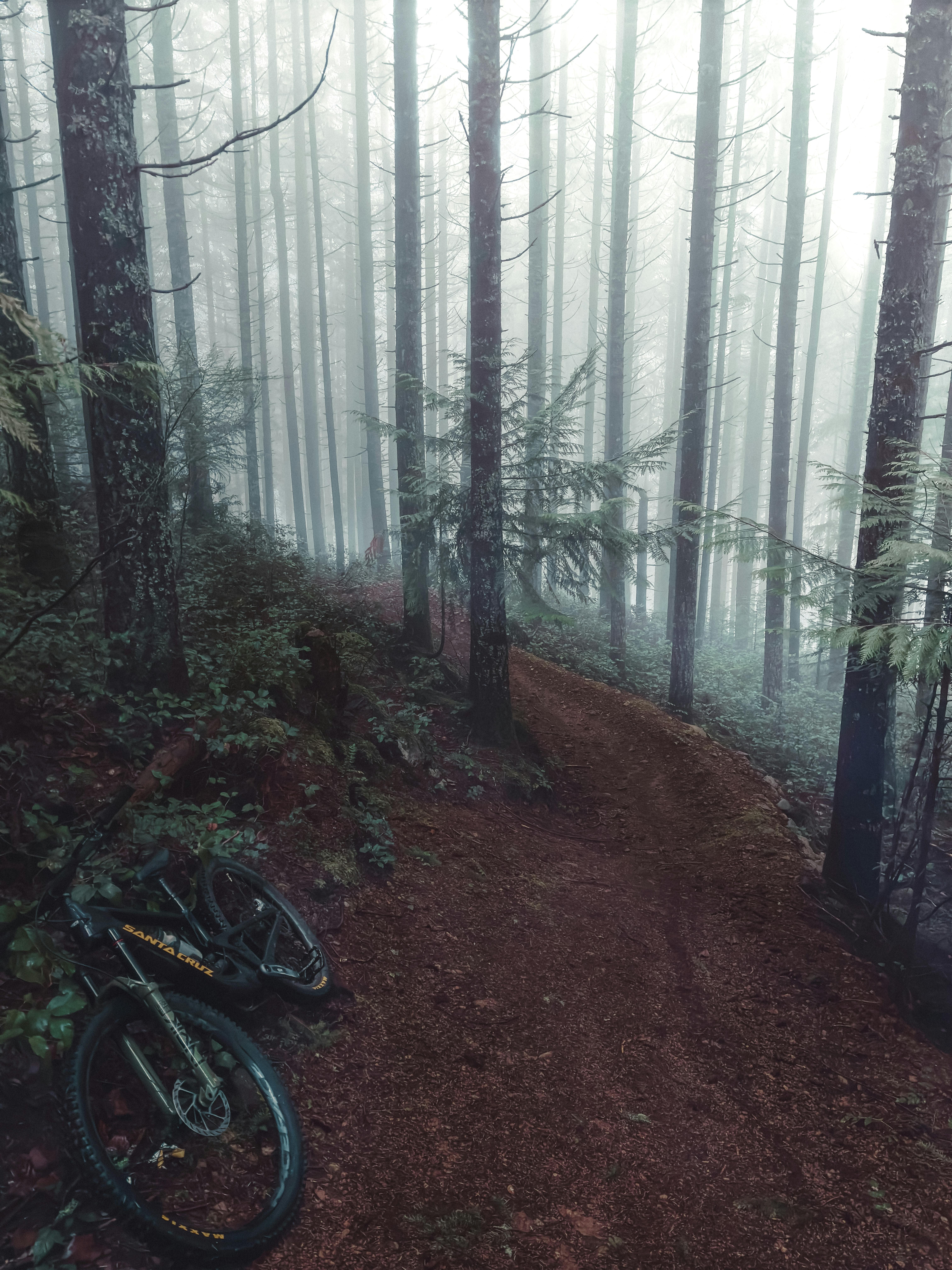 Mountain bike on a foggy forest trail in British Columbia, Canada. Perfect for outdoor adventure enthusiasts.