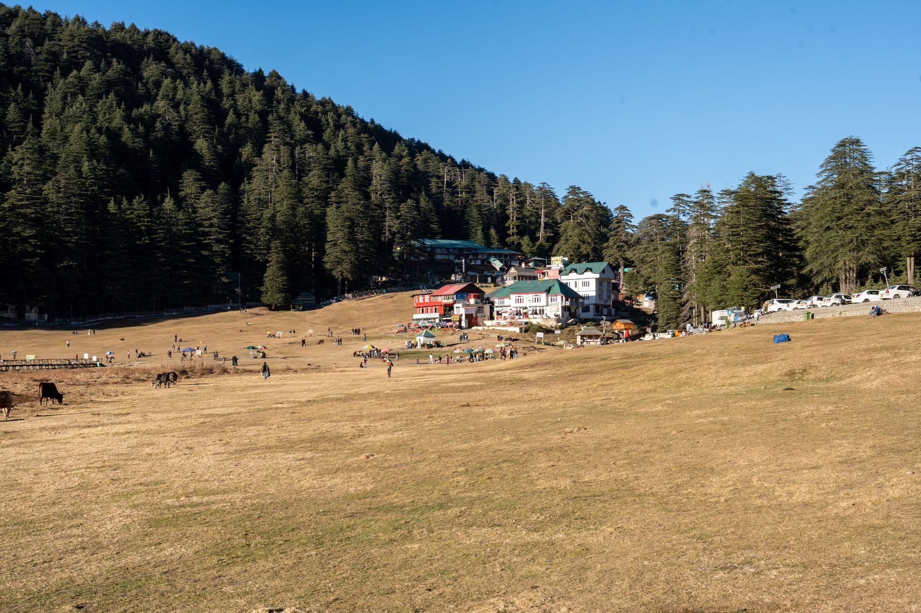 Popular sights in Khajjiar Landmarks in Khajjiar
