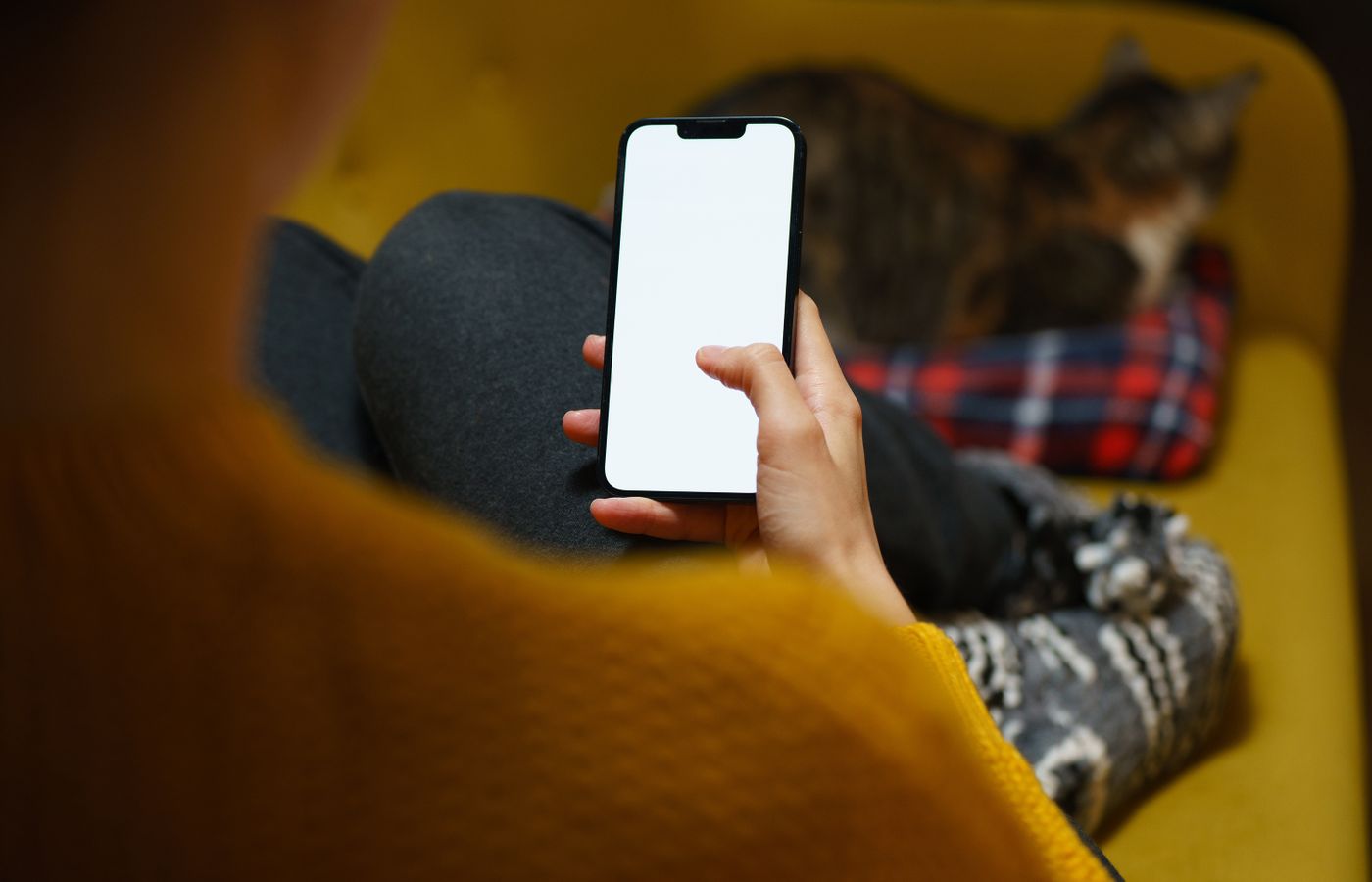 A person relaxes on a sofa while using a smartphone and petting a cat nearby.