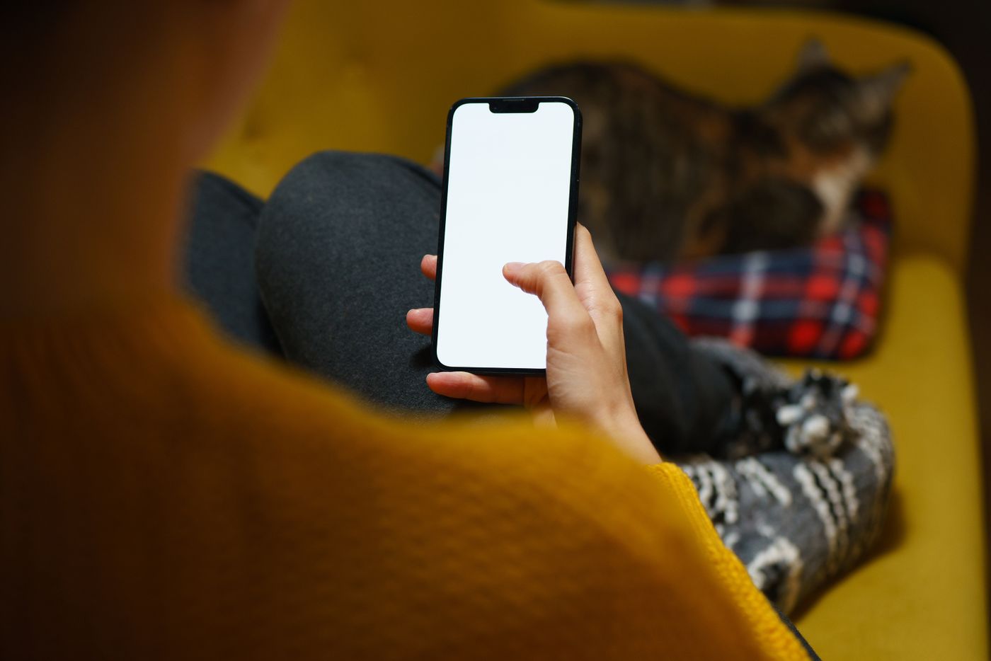 Person sitting on a sofa with a pet cat while using a smartphone