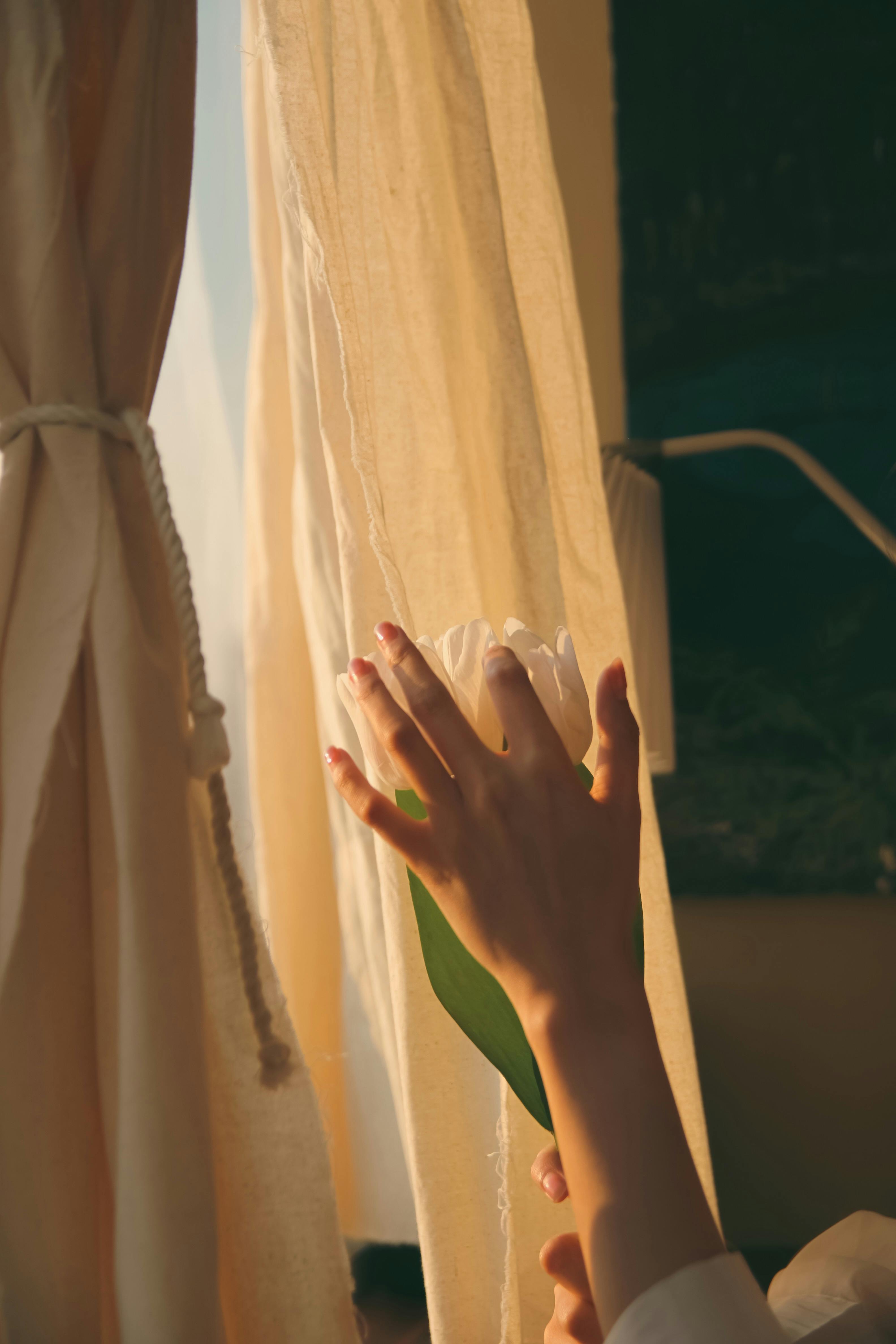 A hand holding a flower reaches towards gentle sunlight filtering through curtains.
