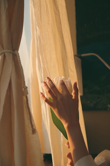 A hand holding a flower reaches towards gentle sunlight filtering through curtains.