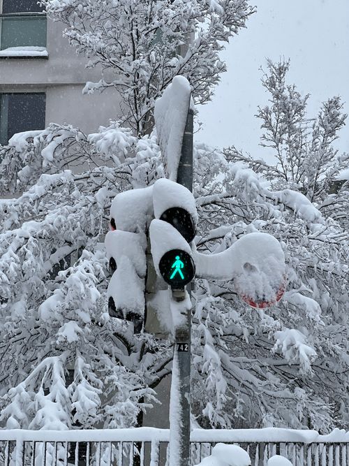 Free Snow-covered traffic light in a winter scene in Munich, capturing serene beauty. Stock Photo