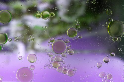 Free Colorful abstract image of oil bubbles in water with purple and green hues. Stock Photo