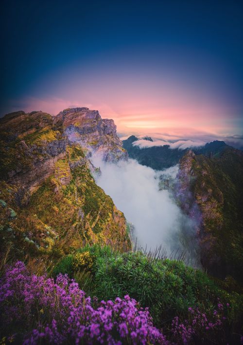 Free Serene mountain vista at sunset in Madeira, Portugal with vibrant flowers and mist. Stock Photo